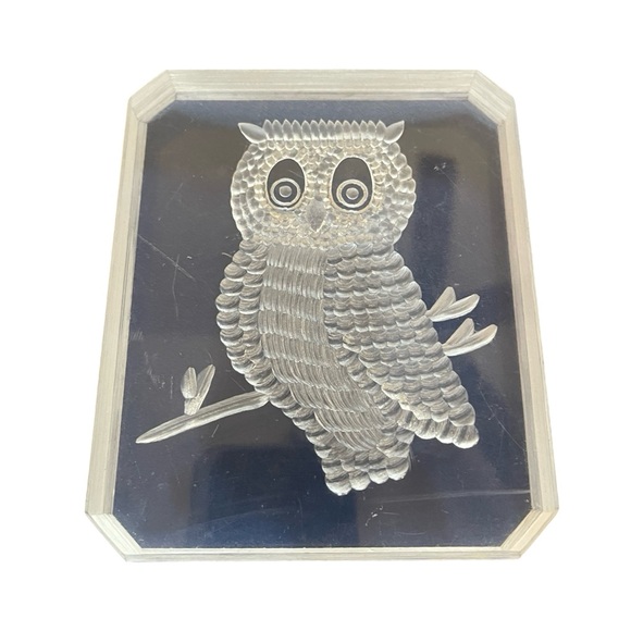 Fun Vintage Carved Lucite Owl Paperweight - Picture 2 of 6